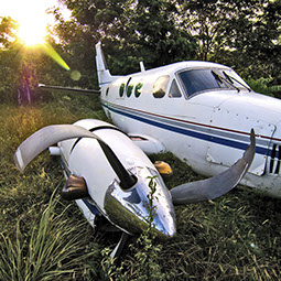 Airplane wreck in the jungle